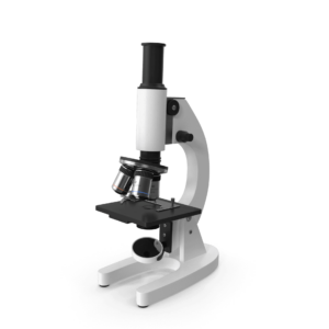 imagen microscopio 3d